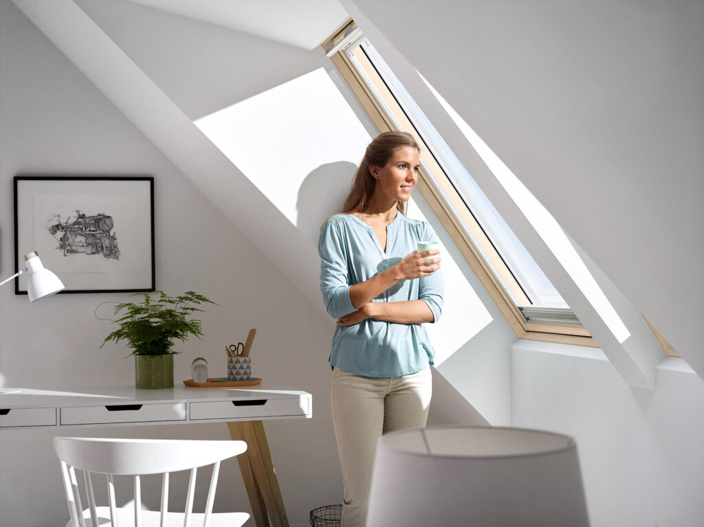 finestre tetti velux